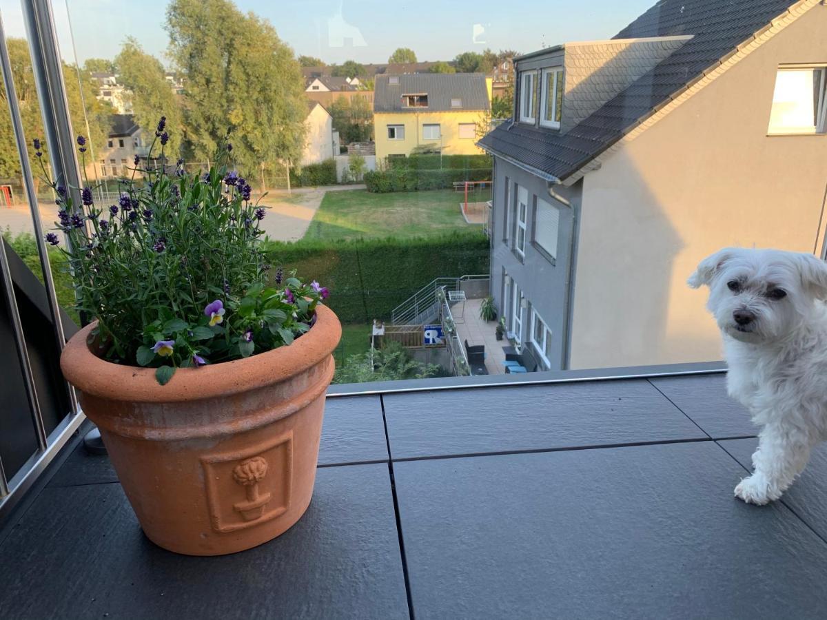 Apartment Brander Blick Aachen Exterior photo